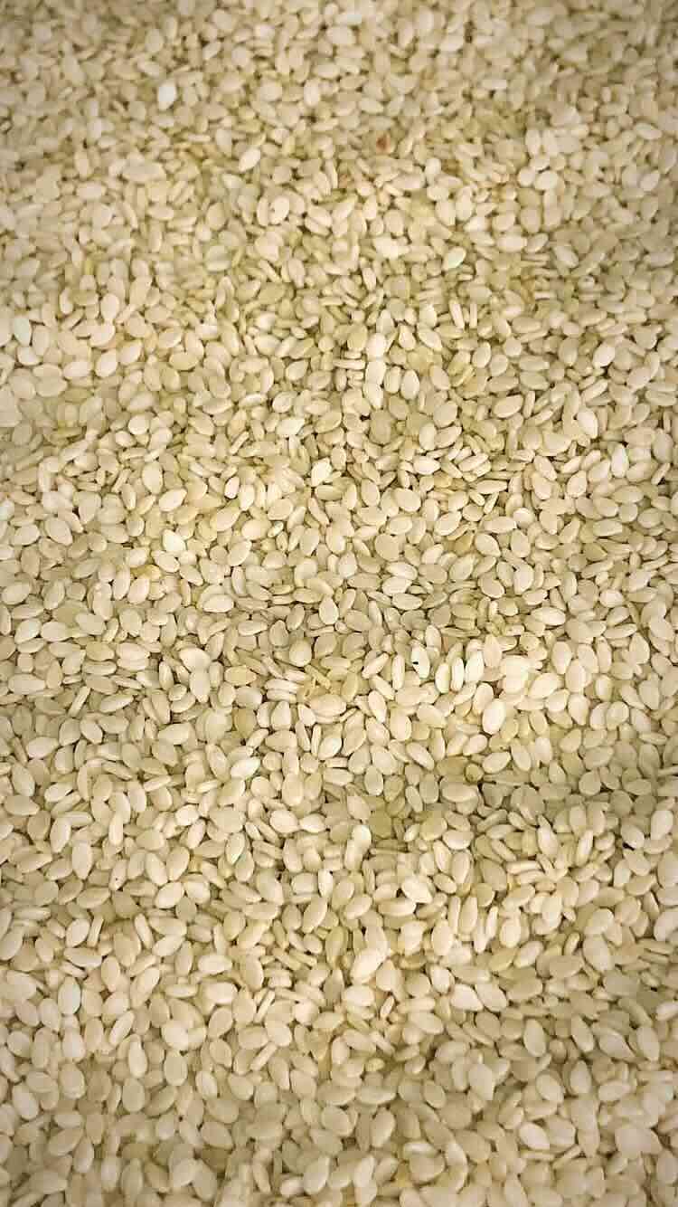 Sesame Seed Offers From Pakistan Tridge