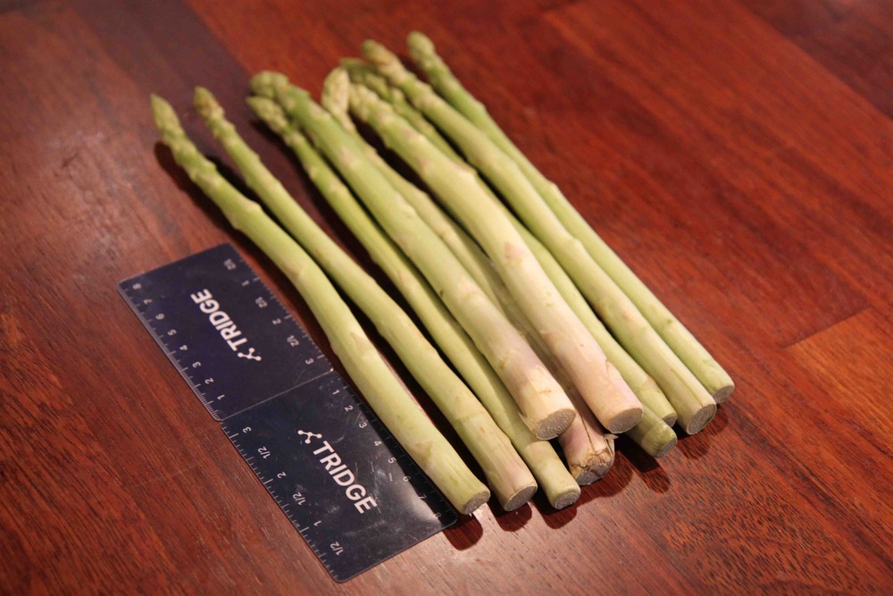 Fresh Asparagus Offers From Thailand Tridge