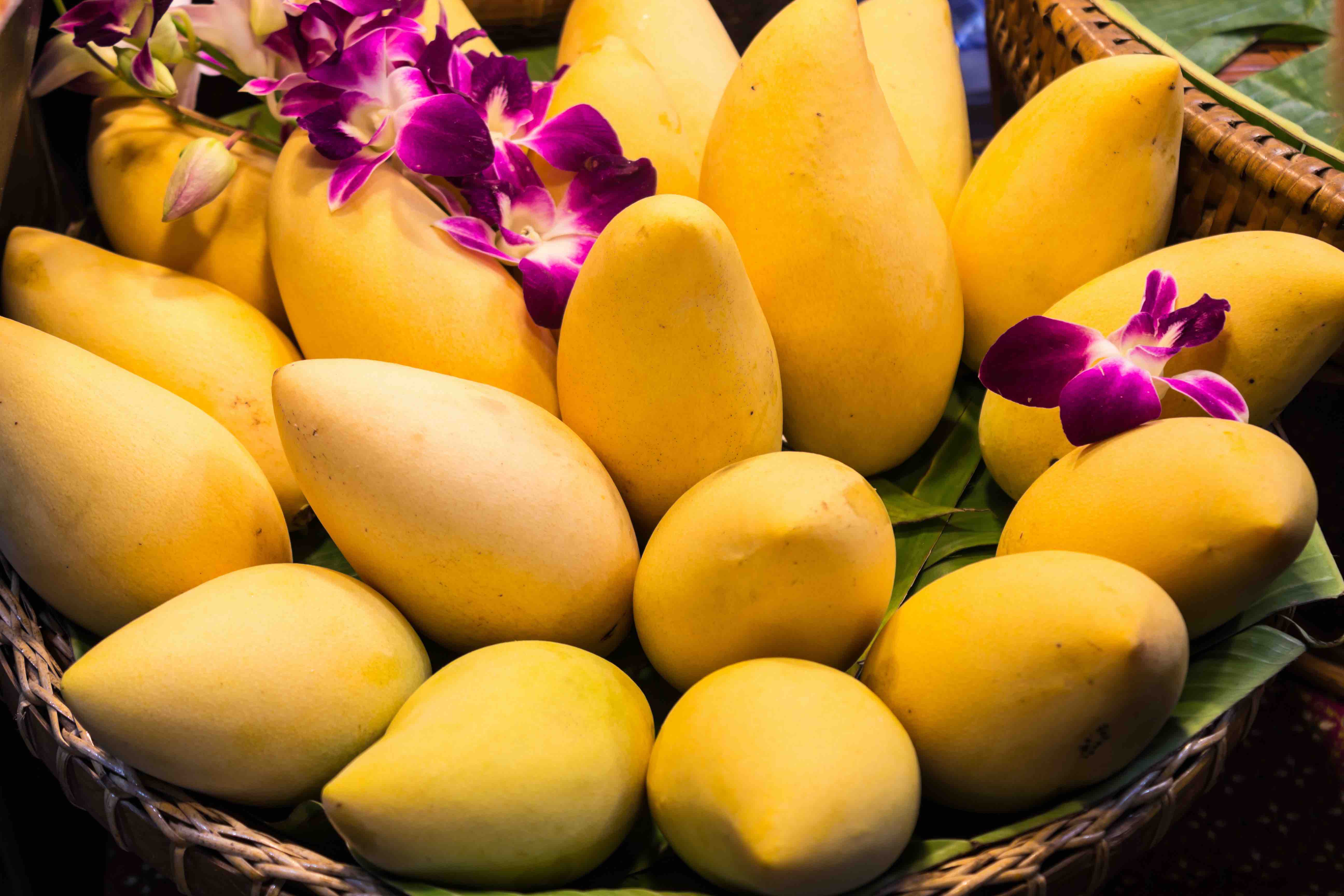 Fresh Mango Offers From Thailand Tridge