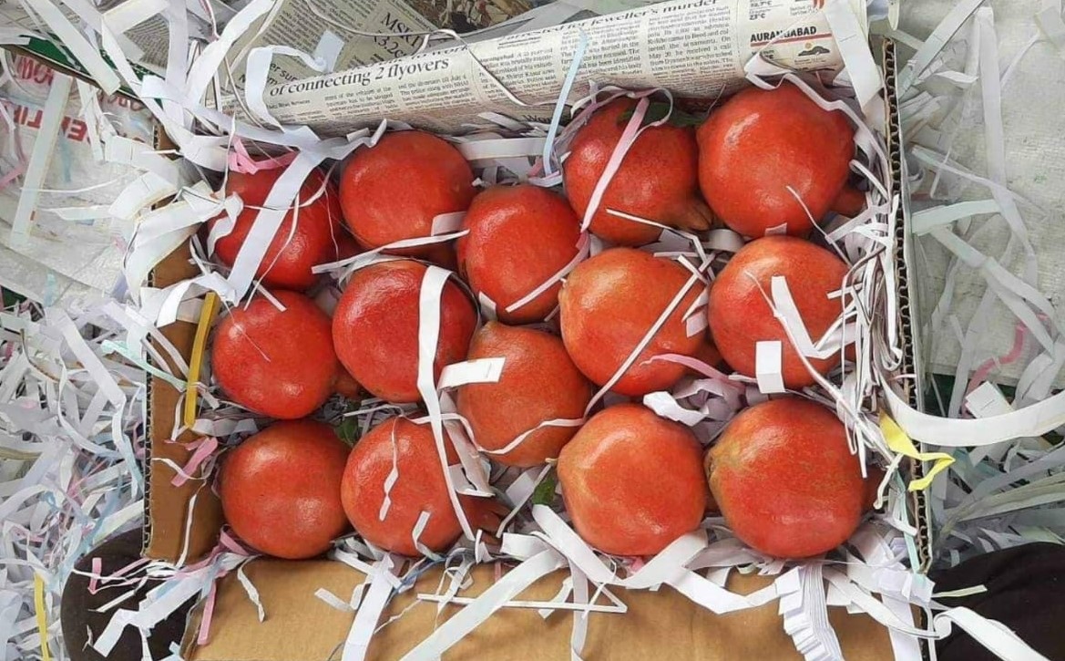 인도 Fresh Pomegranate - PHOTO-2021-11-18-12-37-54_1.jpg