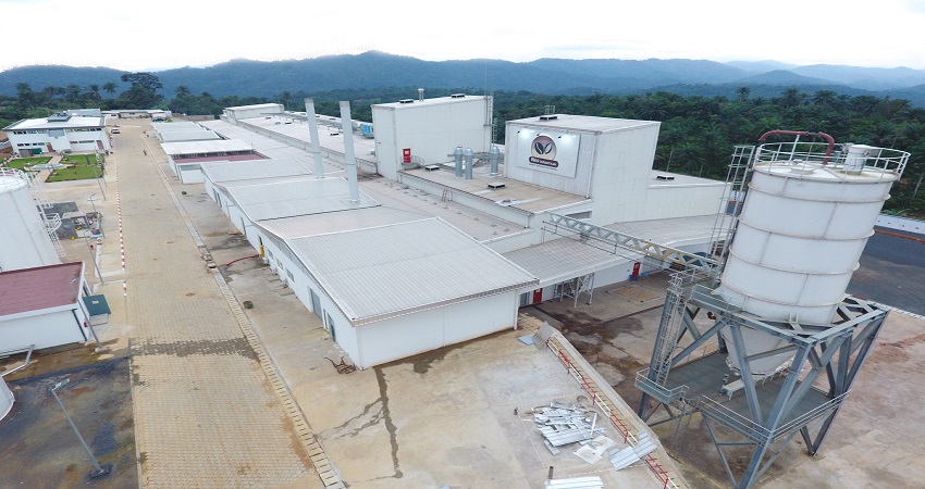 카메룬 Cocoa Butter - DJI_0061.jpg