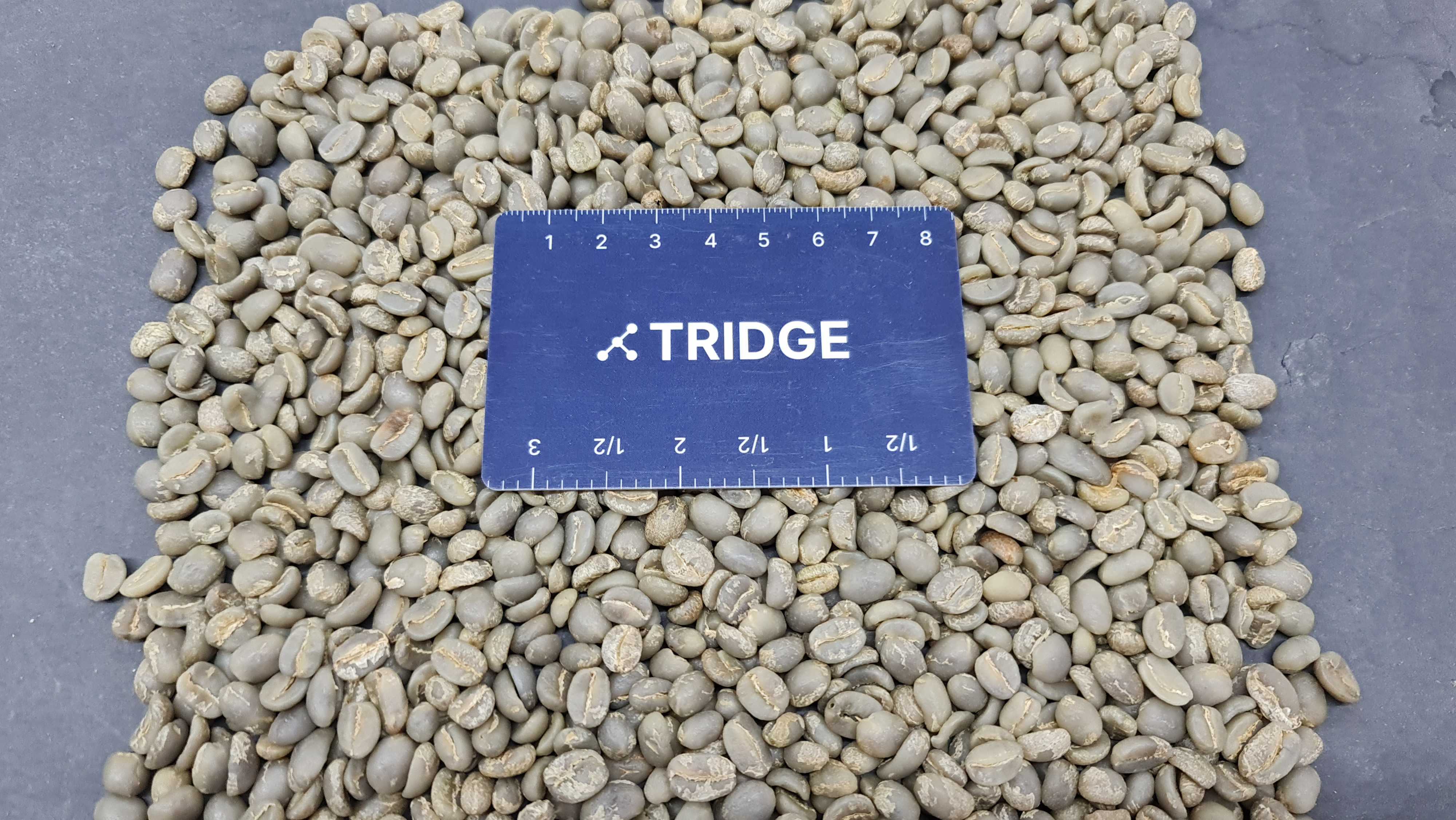 과테말라 Raw Common Coffee Bean - 20220106_105951.jpg
