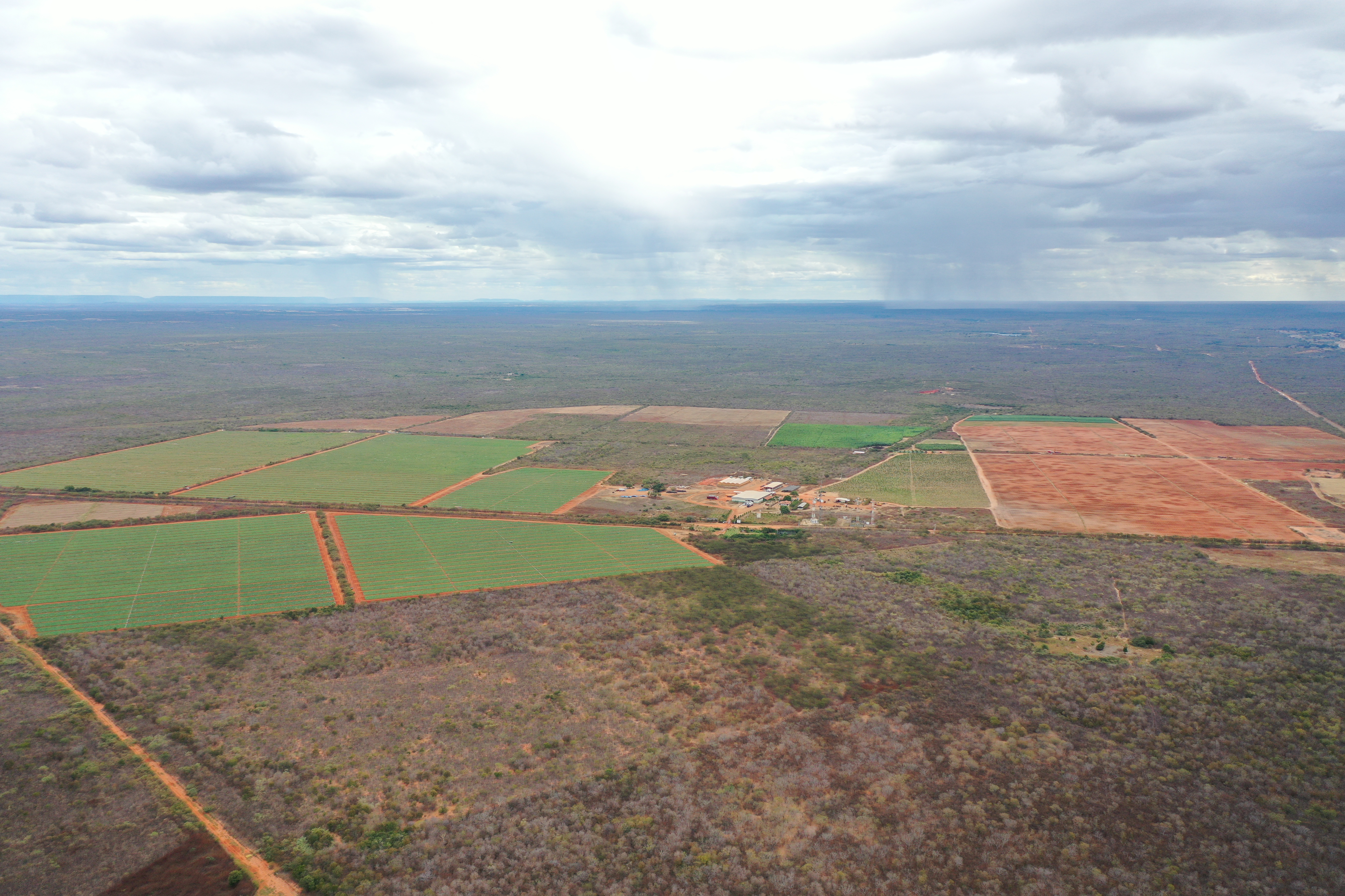 Brazil Fresh Melon - DJI_0965.JPG