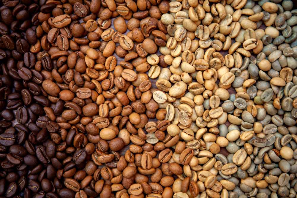 Brazil Raw Common Coffee Bean - Brazil_Coffee.jpg