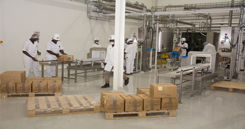 카메룬 Cocoa Butter - DSC_5154.jpg