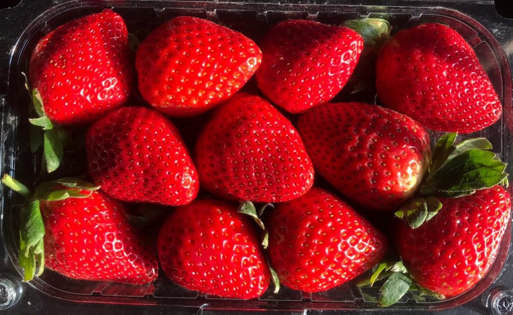 Egypt Fresh Strawberry - WhatsApp_Image_2021-08-19_at_4.20.33_PM_1.jpeg