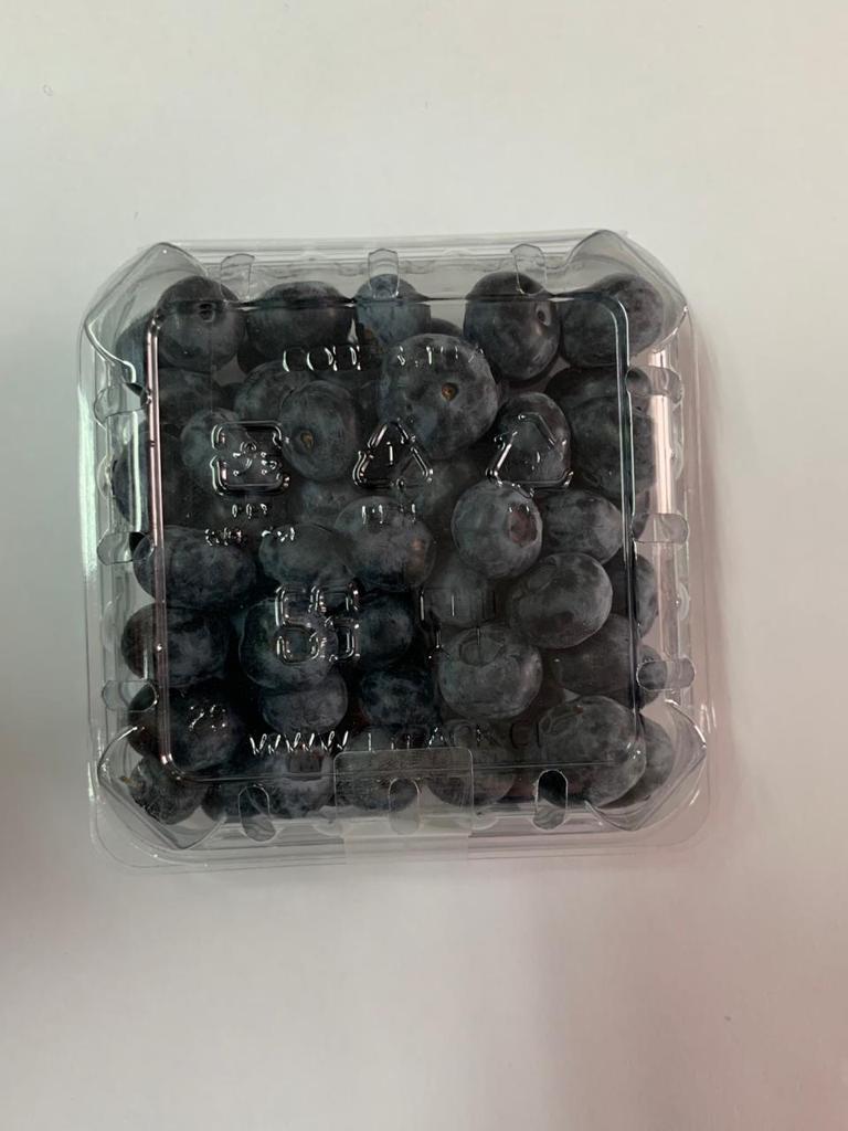 Chile Fresh Blueberry - PHOTO-2021-01-12-11-16-43_1.jpg