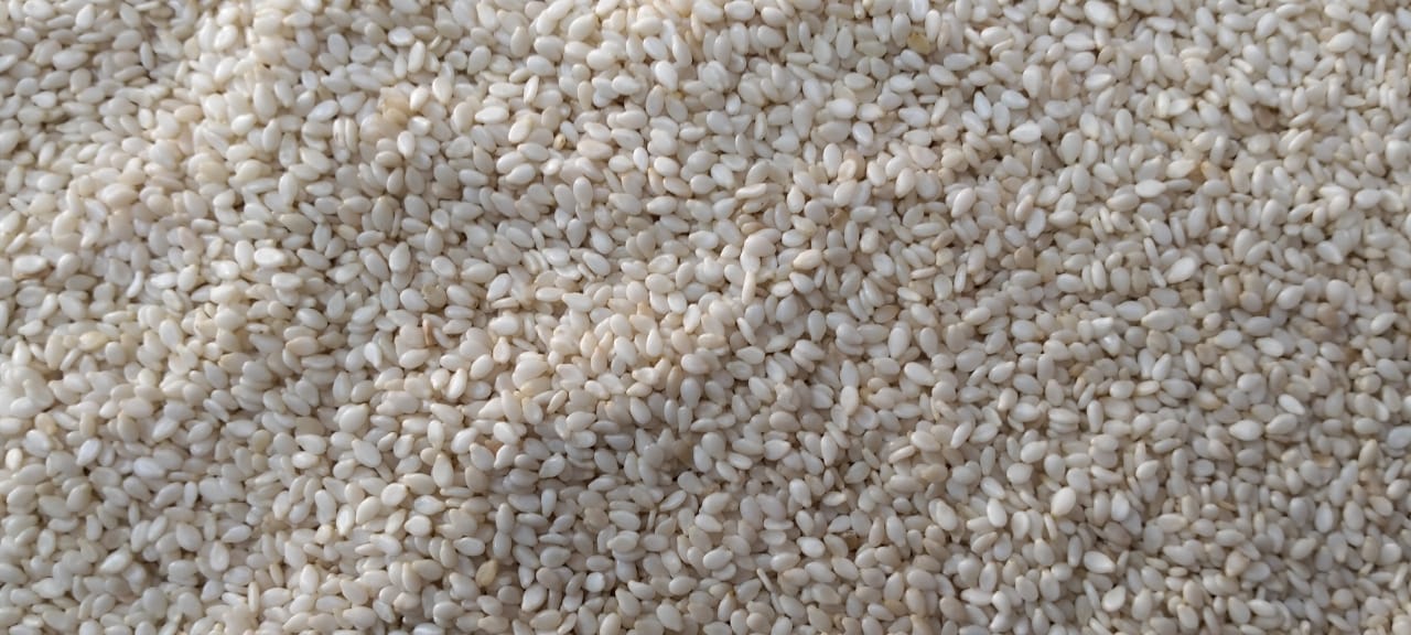 파키스탄 Sesame Seed - 0f1b9c94-72b6-43a6-b12e-199ea571a8e0.jpg