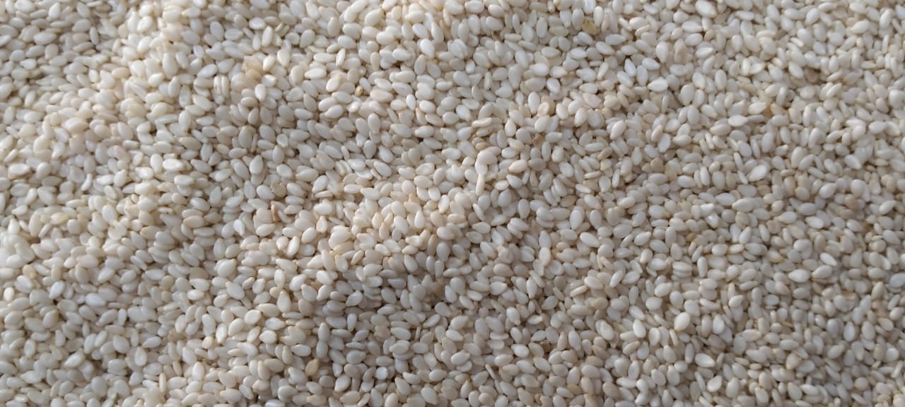 Pakistan Sesame Seed - 0f1b9c94-72b6-43a6-b12e-199ea571a8e0.jpg