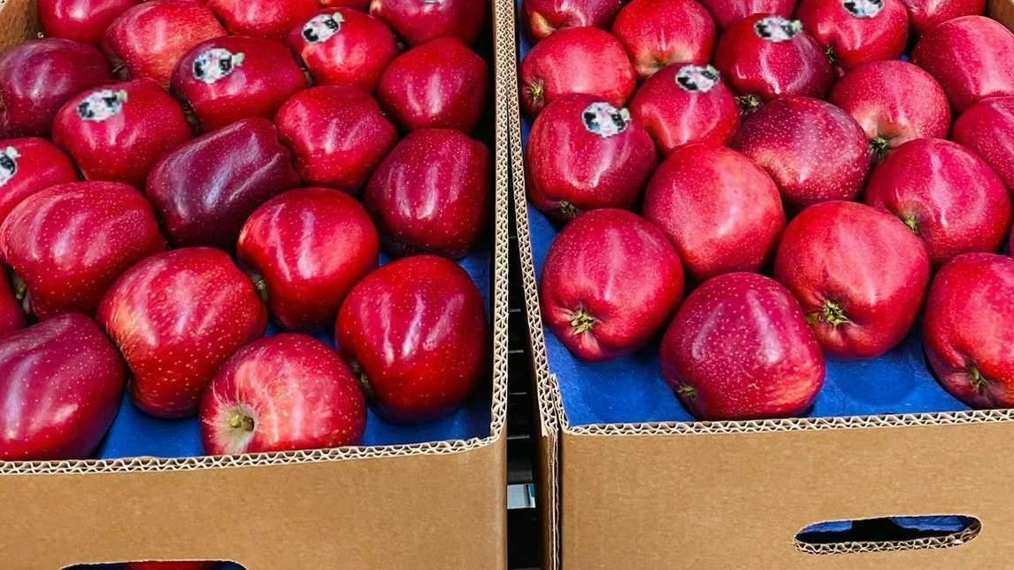 튀르키예 Fresh Apple - IMG-20211230-WA00301.jpg