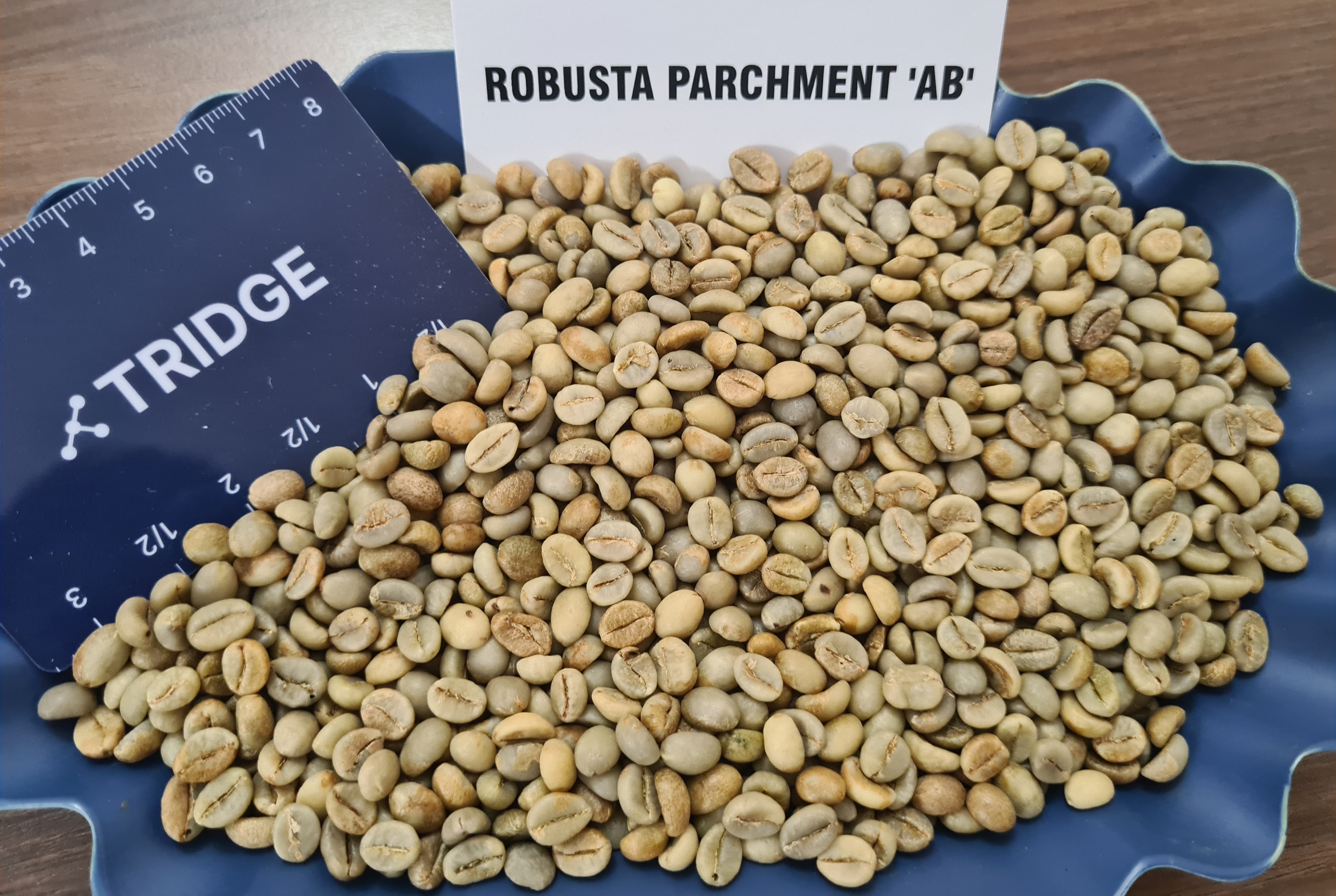 인도 Raw Common Coffee Bean - Robusta_Parchment_AB.jpg