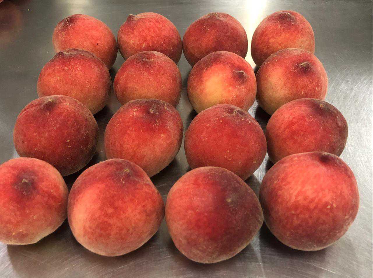 Morocco Fresh Peach - IMG-20210614-WA0002.jpg