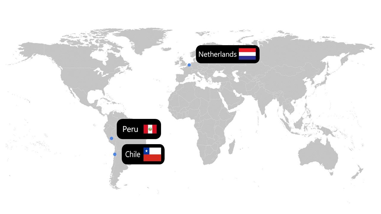 멕시코 Fresh Blueberry - Export.jpg