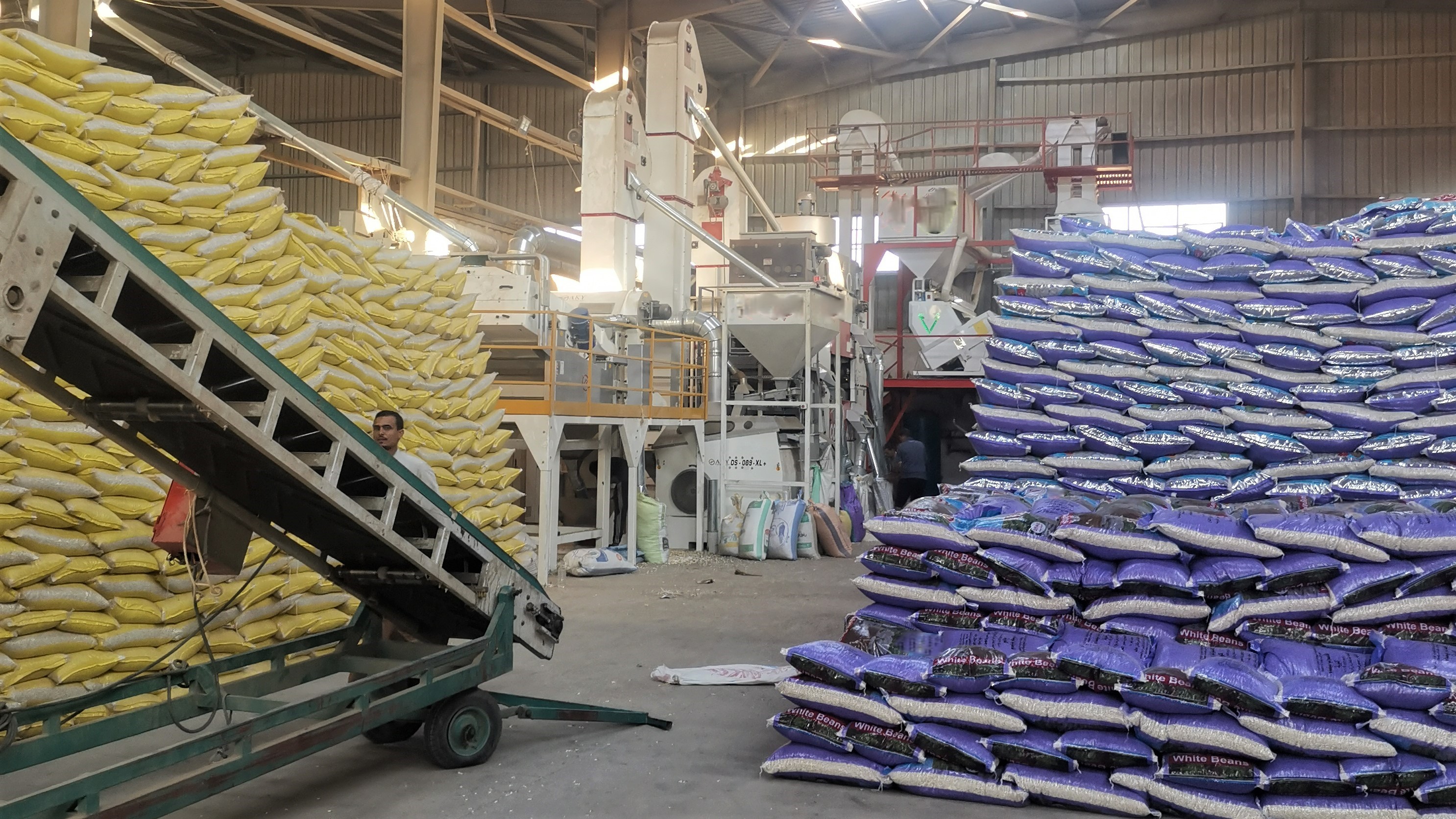 이집트 Dried White Beans - Egypt_-_Dried_White_Beans12.jpg