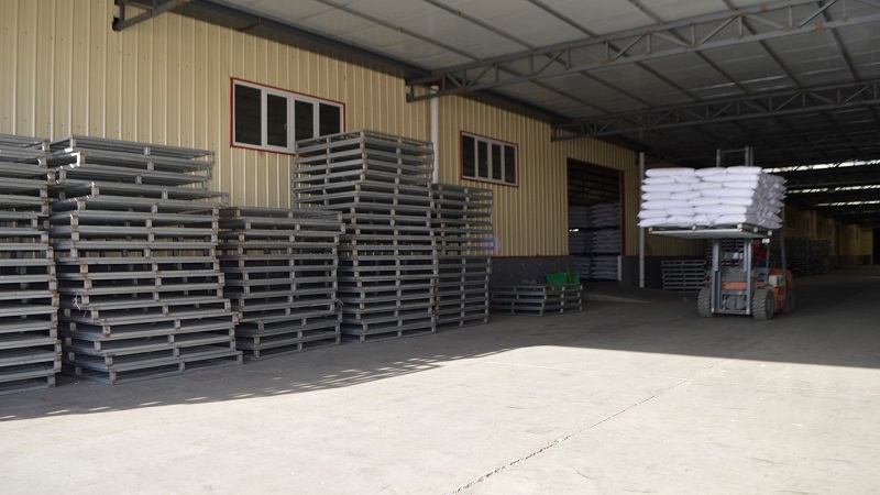 China Sunflower Seed - China_sunflower_seeds_10.jpg