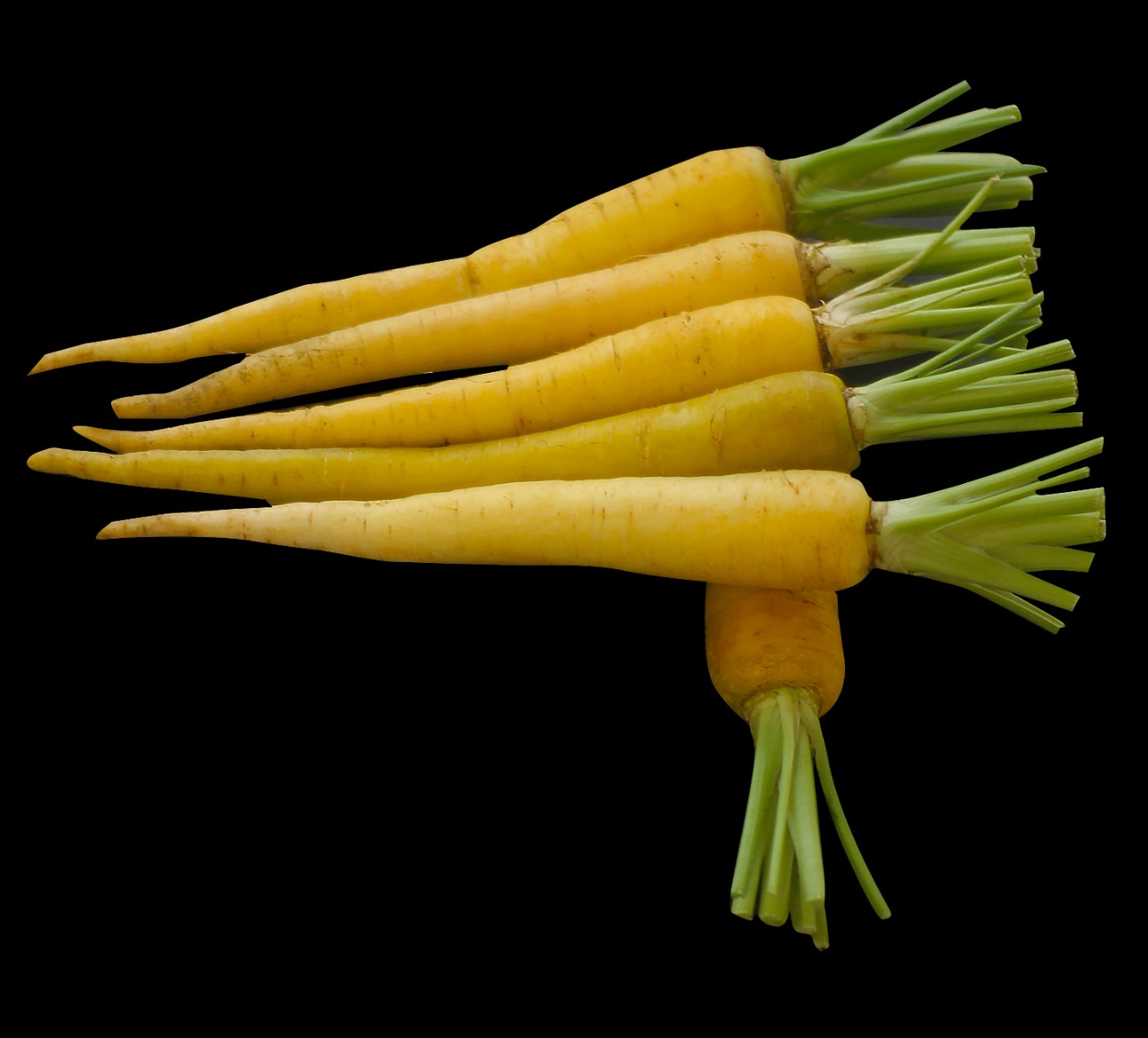 Guatemala Fresh Carrot - Guatemala-Fresh-Carrot-653872.jpg