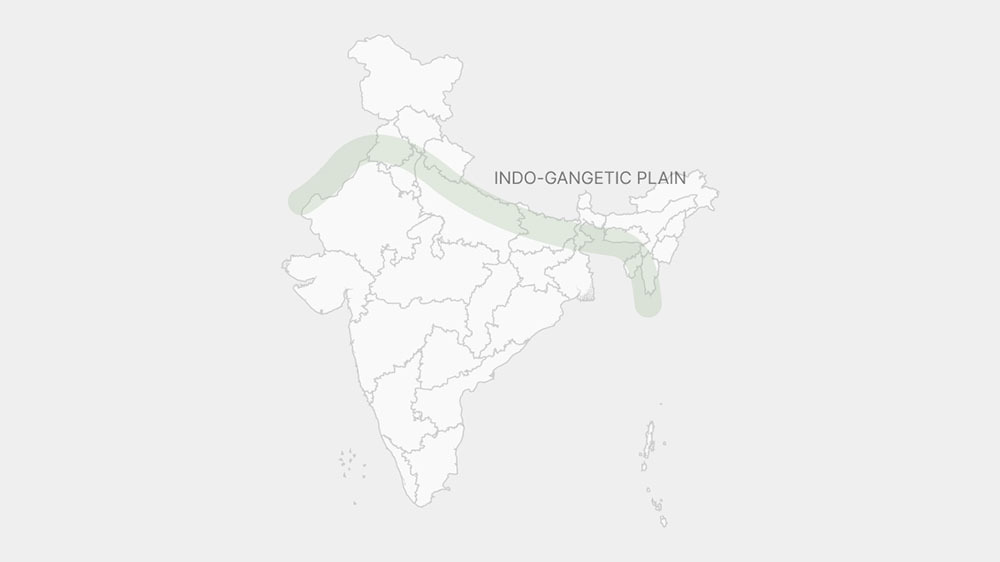 인도 Milled Rice - Rice_India_map.jpg