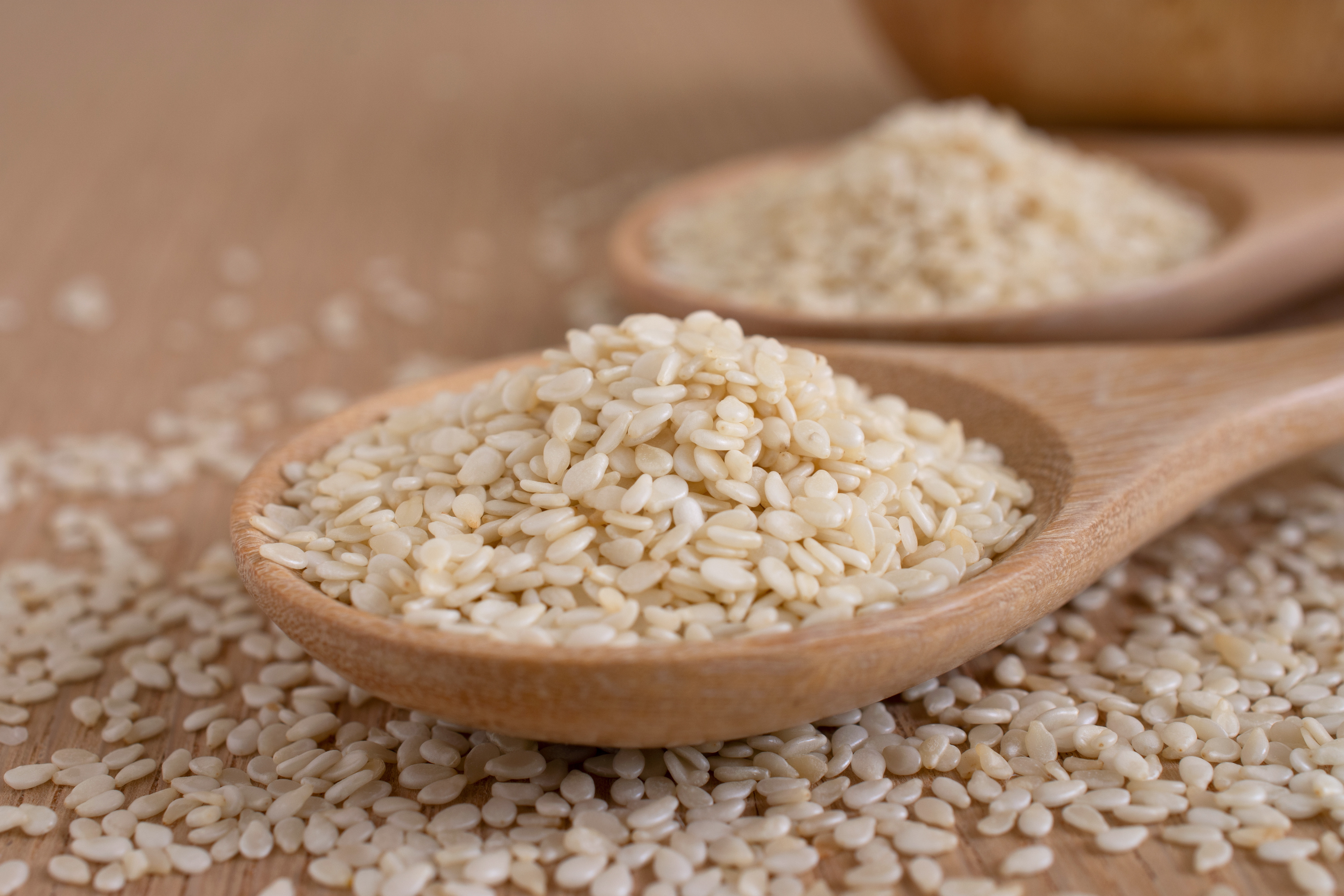 Paraguay Sesame Seed - shutterstock_1858232035.jpg