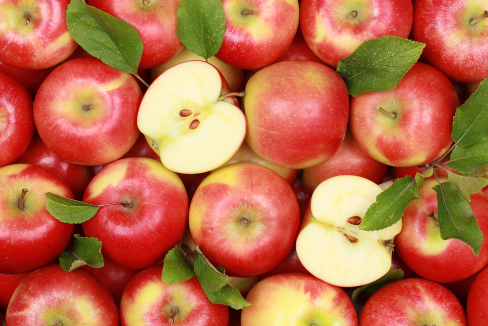 미국 Fresh Apple - shutterstock_117519346.jpg
