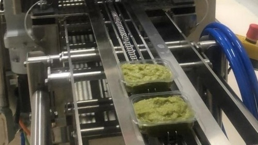 멕시코 Avocado Puree - 99e6a95c-ccba-4b4e-9133-75ec962a_2.jpg