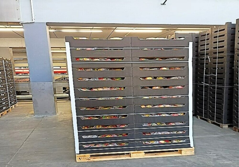 폴란드 Fresh Apple - Polishapple_packing_1.jpg