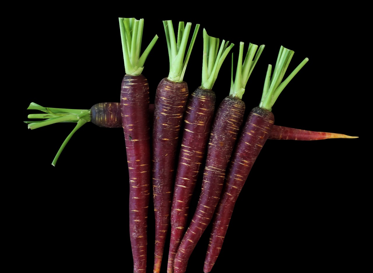 Guatemala Fresh Carrot - Guatemala-Fresh-Carrot-722078.jpg