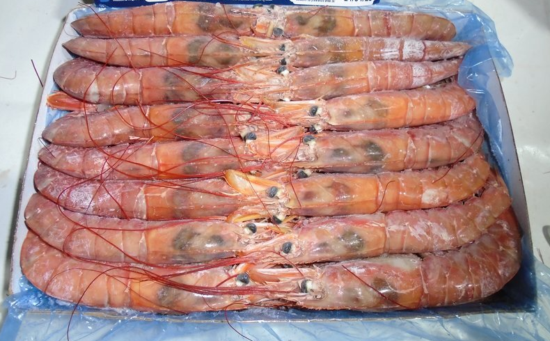 아르헨티나 Frozen Argentine Red Shrimp - image_40.png