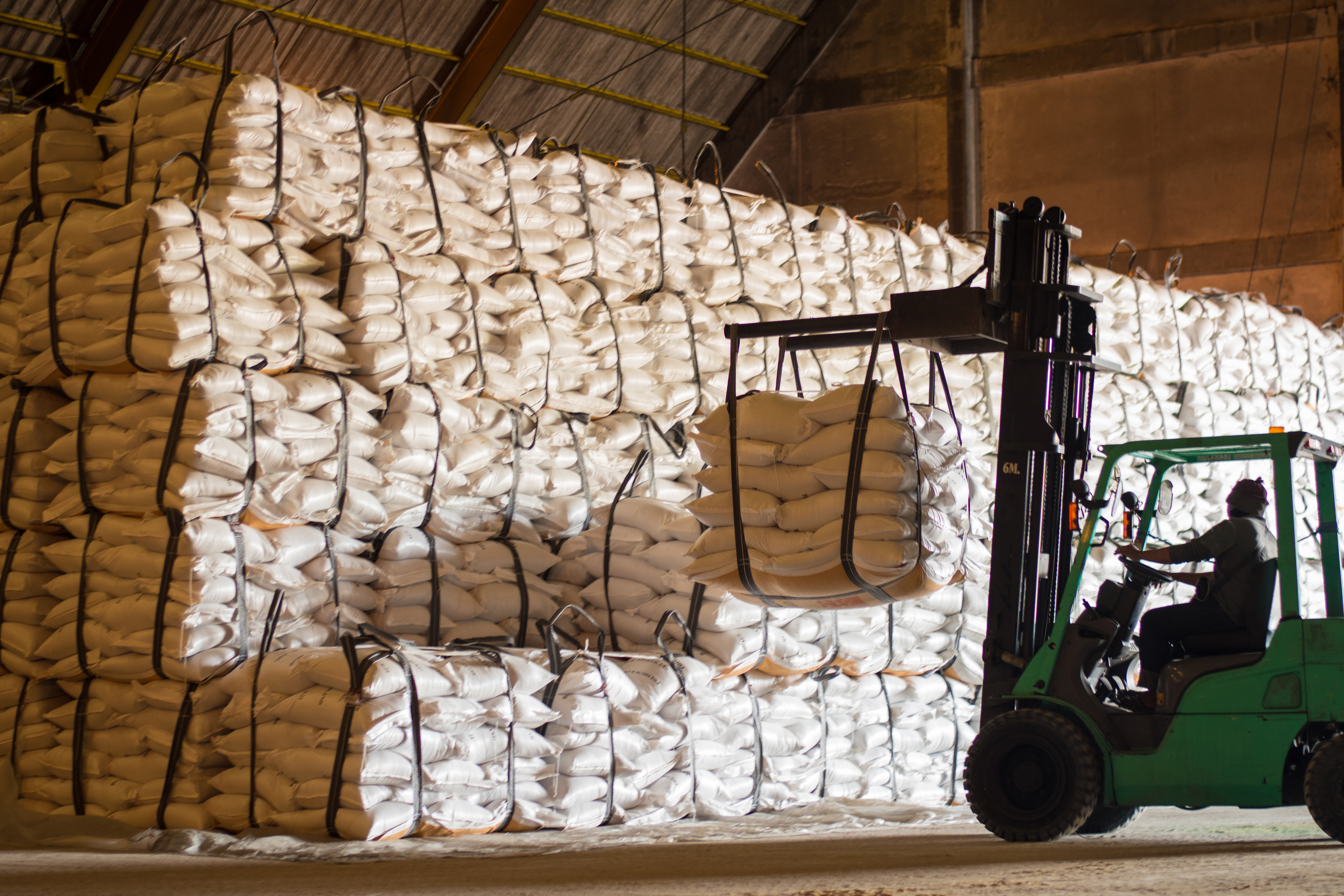 Egypt Raw Sugar - shutterstock_686181304.jpg