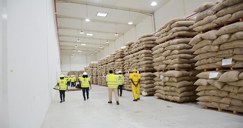 카메룬 Cocoa Butter - page-9.jpg