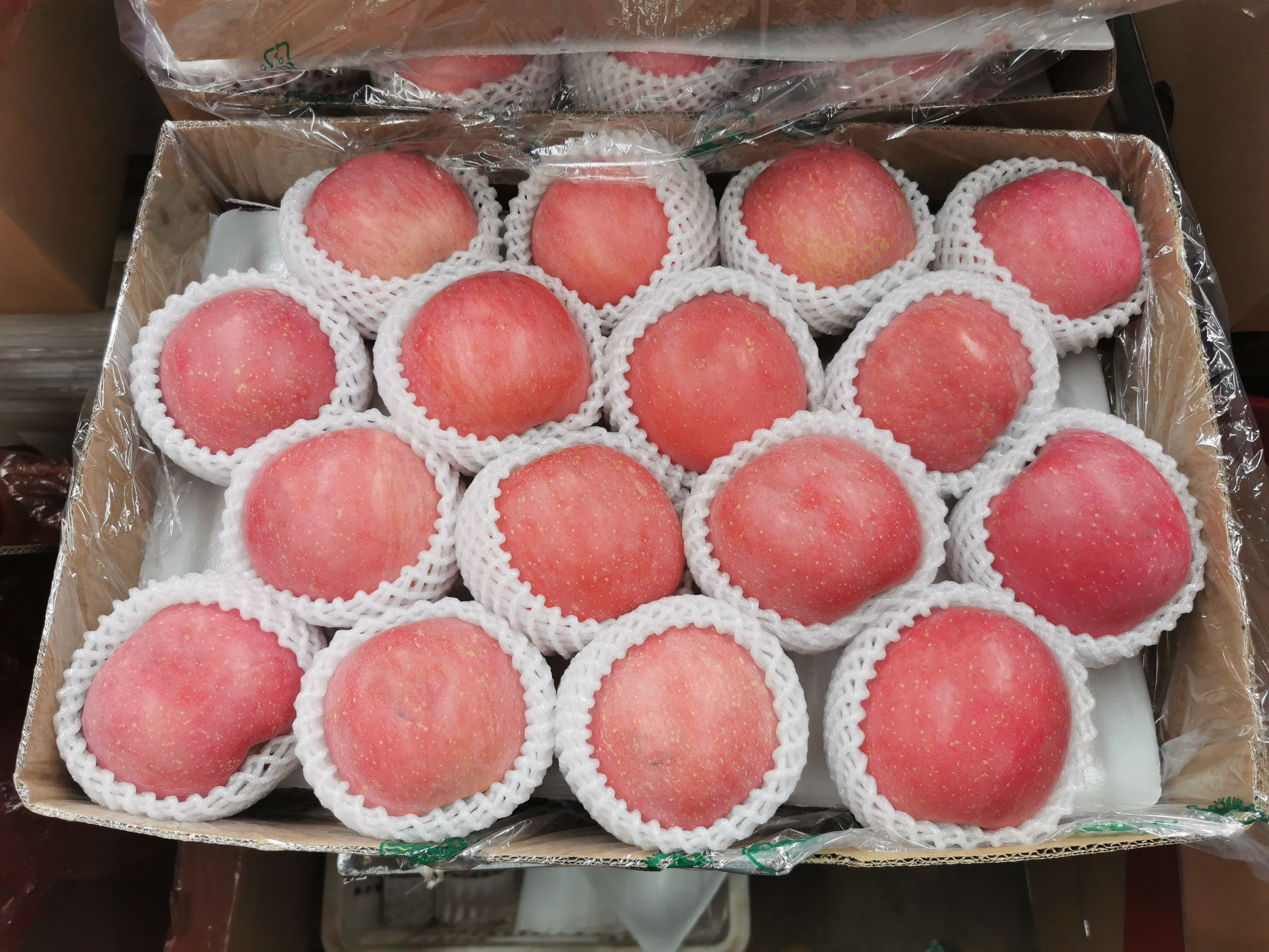 중국 Fresh Apple - 22F.jpg