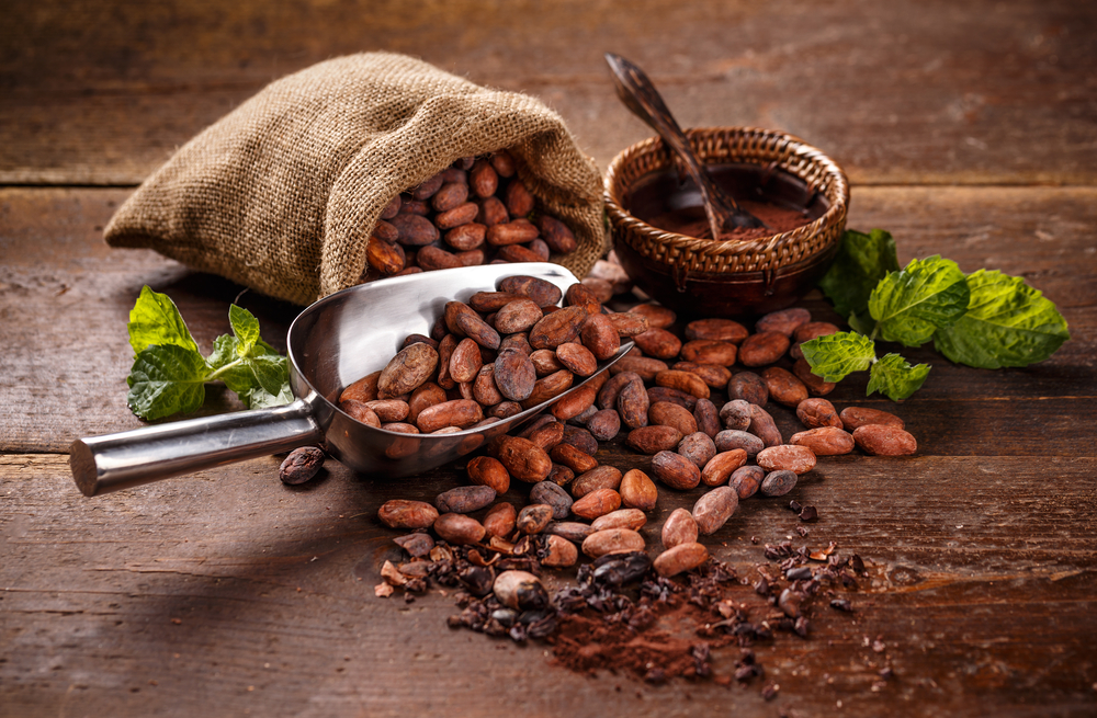 Nigeria Cocoa Bean - shutterstock_702389008.jpg
