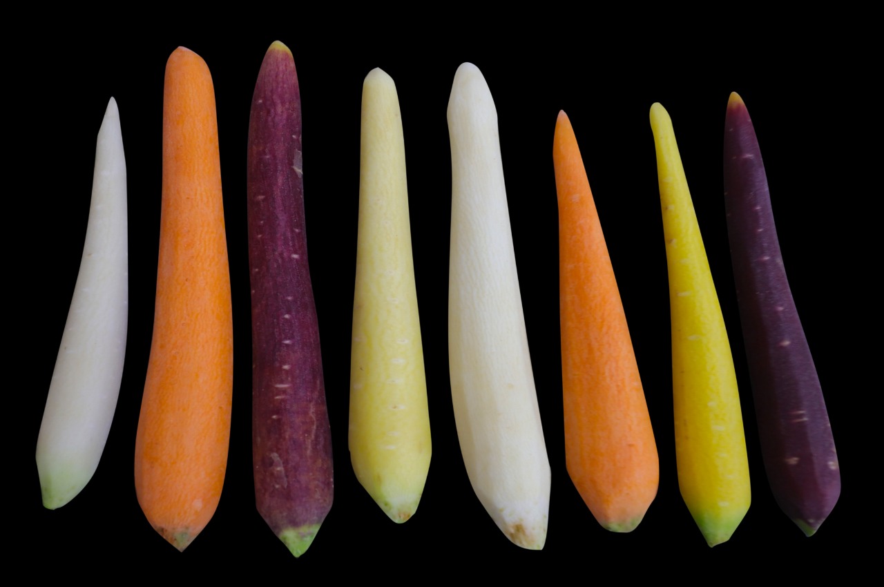Guatemala Fresh Carrot - Guatemala-Fresh-Carrot-548387.jpg