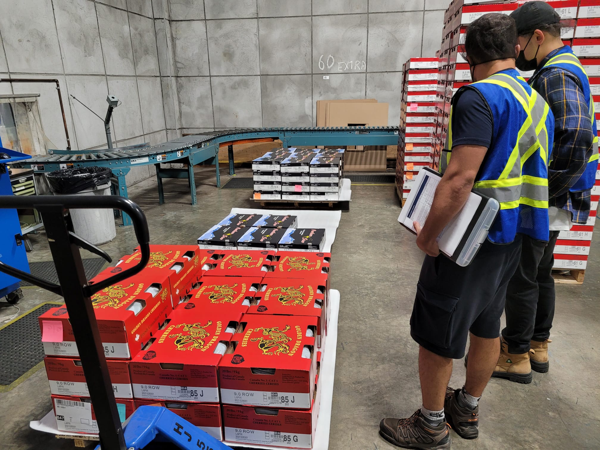 캐나다 Fresh Sweet Cherry - WhatsApp_Image_2021-07-22_at_1.52.51_PM.jpeg