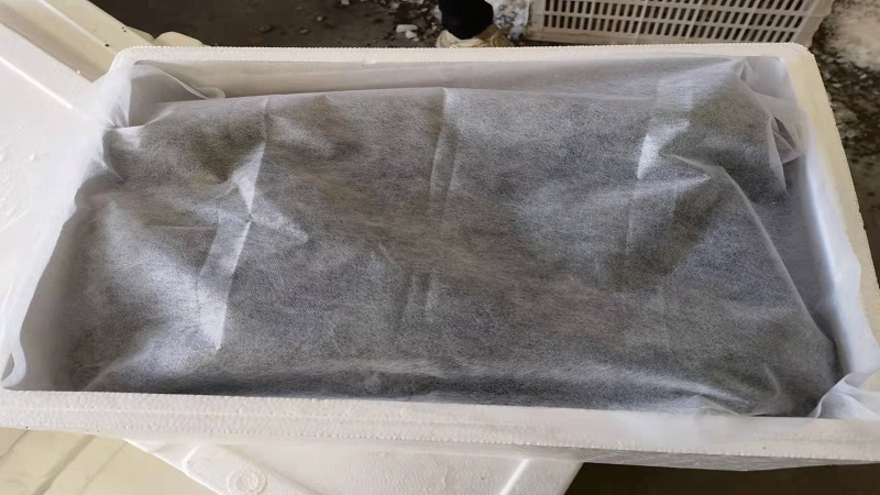 중국 Fresh Headed Broccoli - b12.jpg