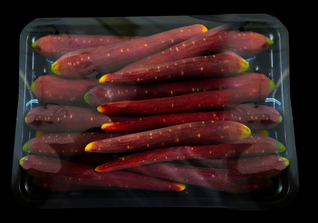 Guatemala Fresh Carrot - Guatemala-Fresh-Carrot-277444.jpg