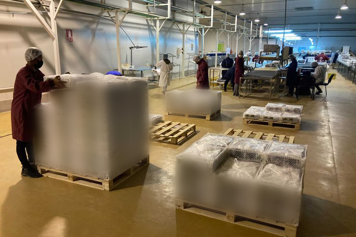 페루 Fresh Table Grape - 14F.jpg