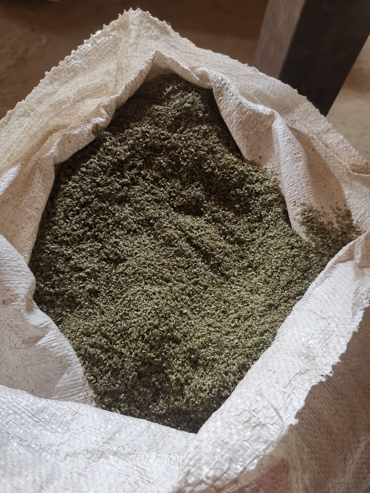 Mint Offers From Egypt Tridge