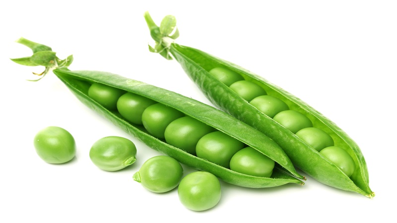 중국 Frozen Common Pea - CN_Greenpeas.jpg