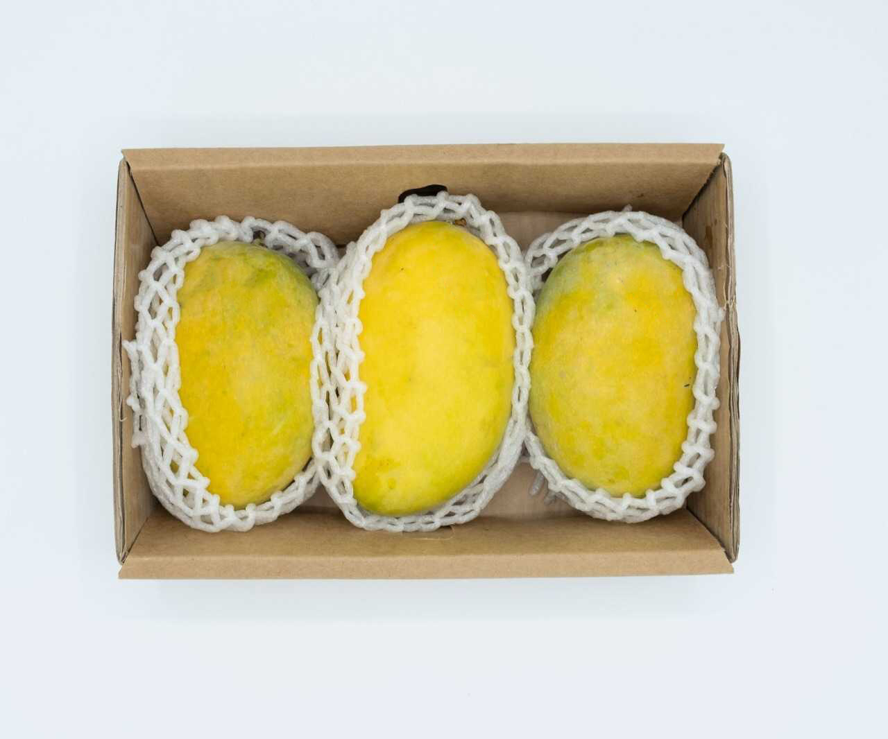 Pakistan Fresh Mango - Image_from_iOS_1_Edit.jpg