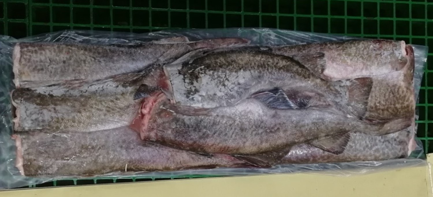 Russia Frozen Cod - frozen_cod-rus.jpg