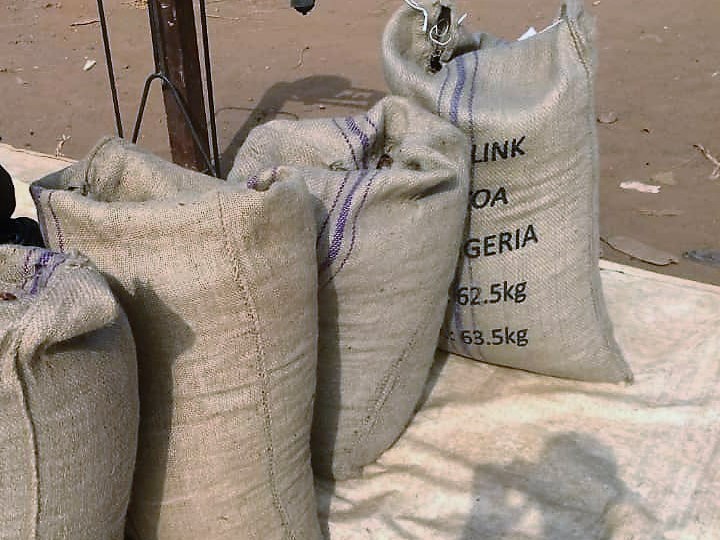 Nigeria Cocoa Bean - PHOTO-2022-01-11-10-19-57_1.jpg