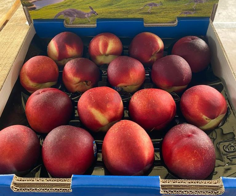 호주 Fresh Nectarine - 45F.jpg