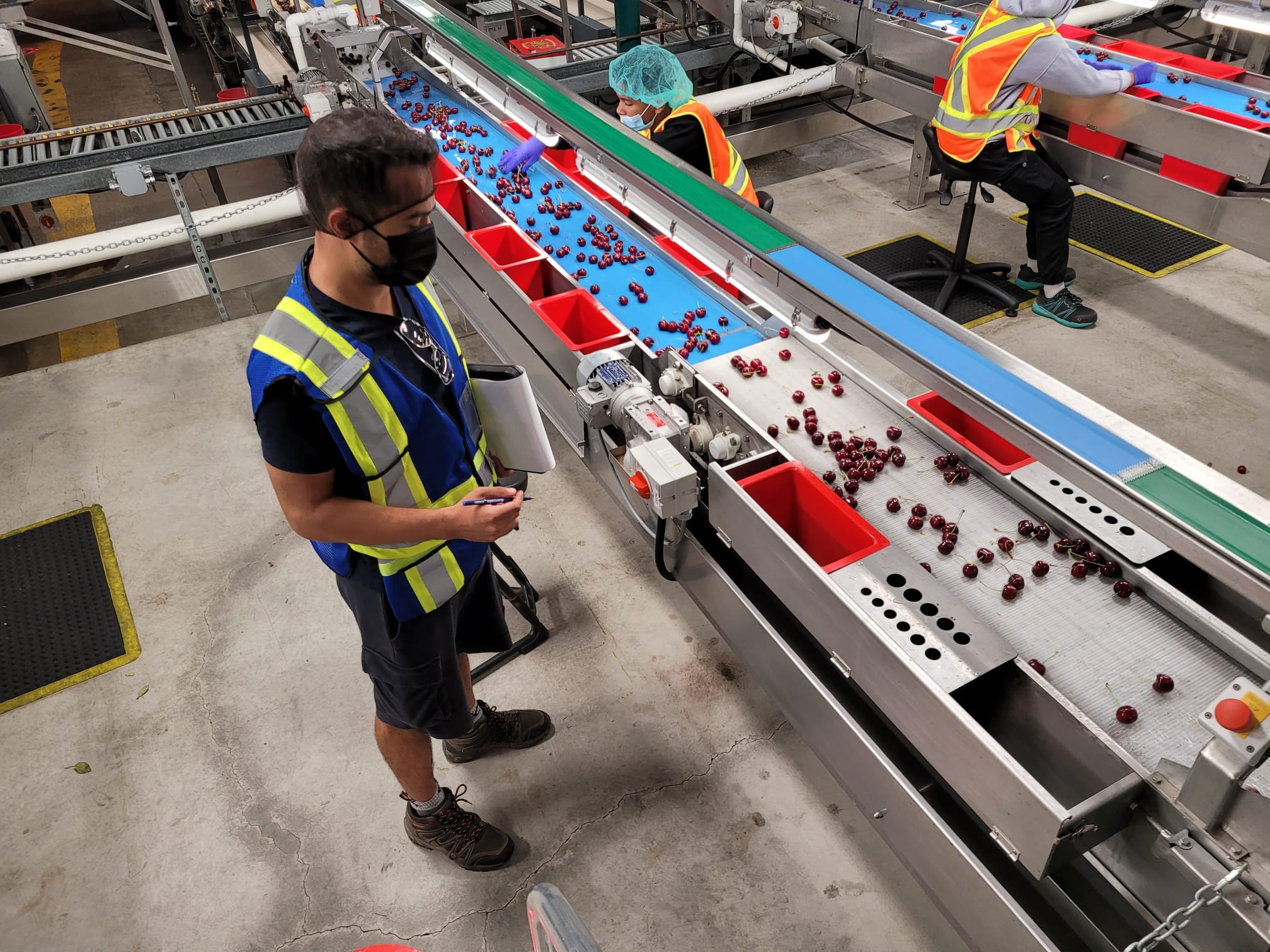 캐나다 Fresh Sweet Cherry - WhatsApp_Image_2021-07-22_at_1.53.01_PM_6.jpeg