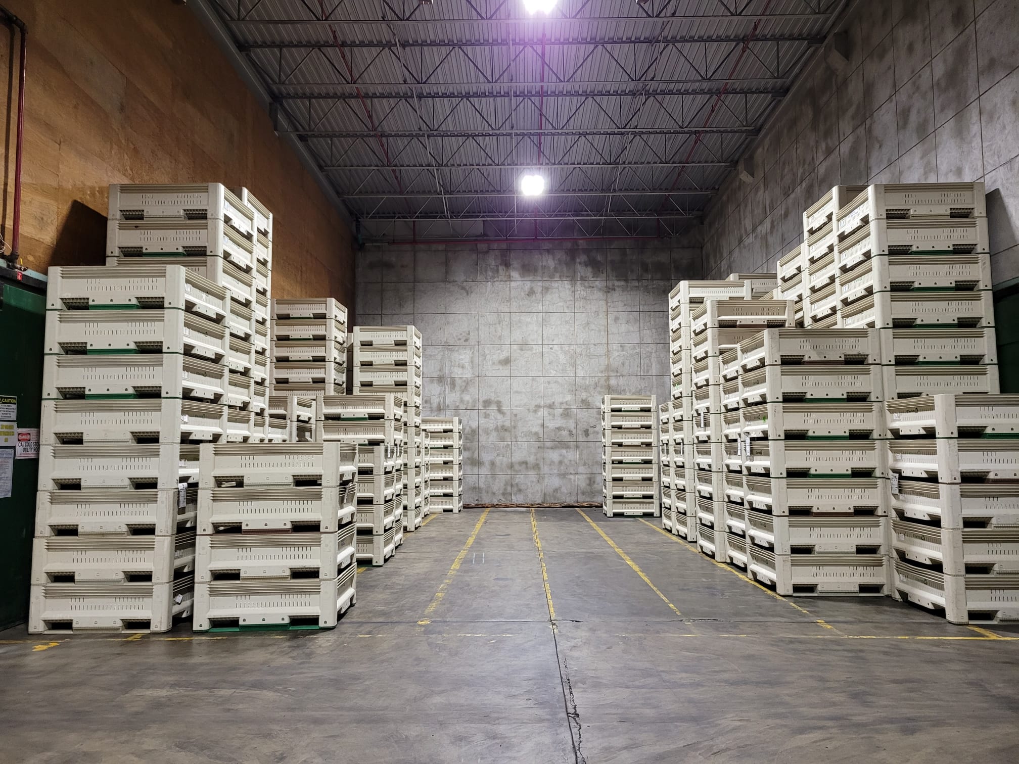 캐나다 Fresh Sweet Cherry - WhatsApp_Image_2021-07-22_at_1.52.50_PM_2.jpeg