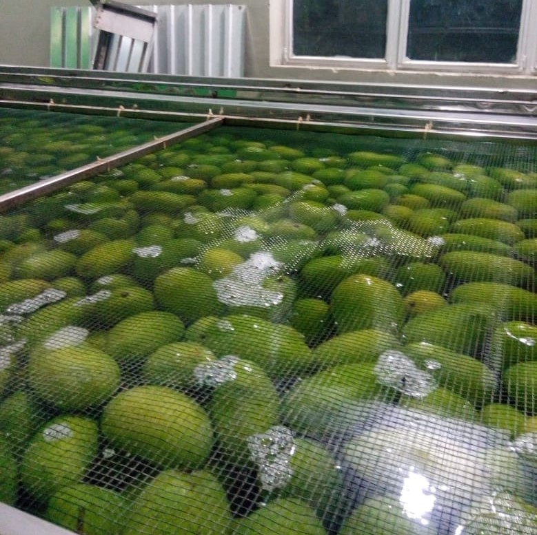 Pakistan Fresh Mango - Ginza_International_2.jpg