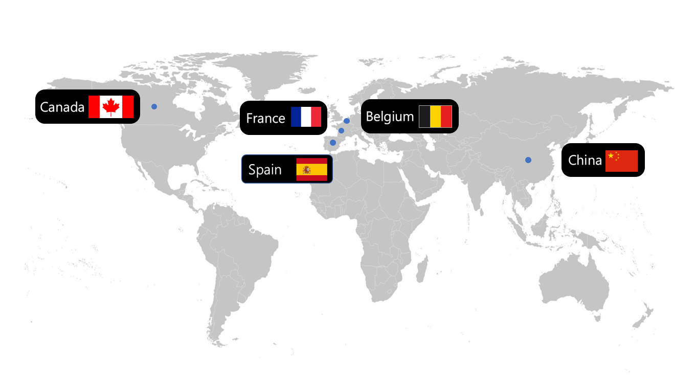 이집트 Frozen Green Bean - frozen_green_beans_from_egypt.png