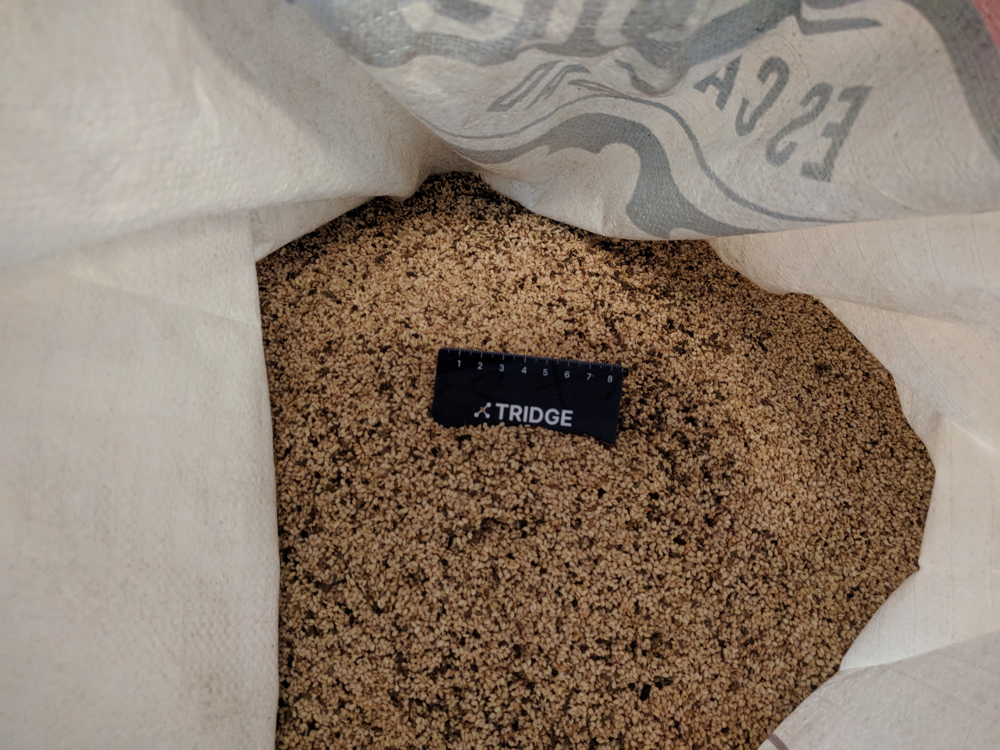 과테말라 Sesame Seed - Field_Product_1.jpg