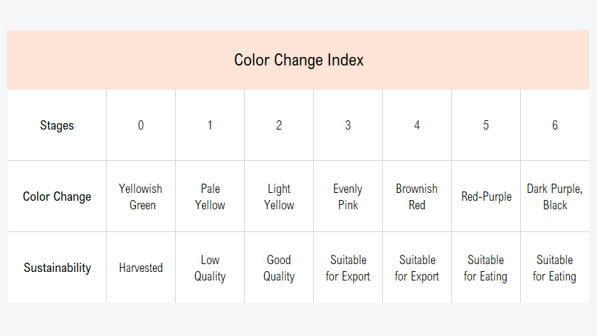 인도네시아 Fresh Mangosteen - ID2.PNG