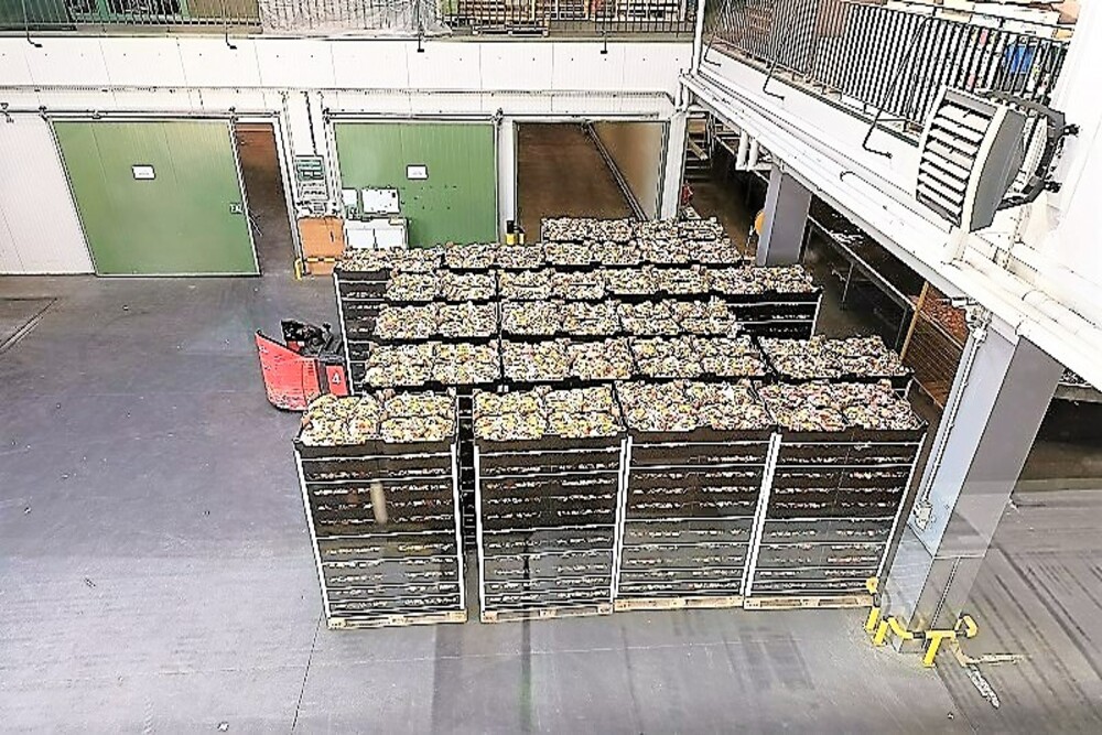 폴란드 Fresh Apple - Polishapple_storage_1.jpg