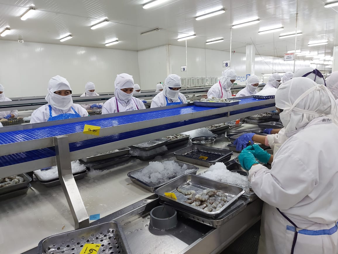 Indonesia Frozen Vannamei Shrimp - Indonesia-Frozen-Vannamei-Shrimp-237302.JPG